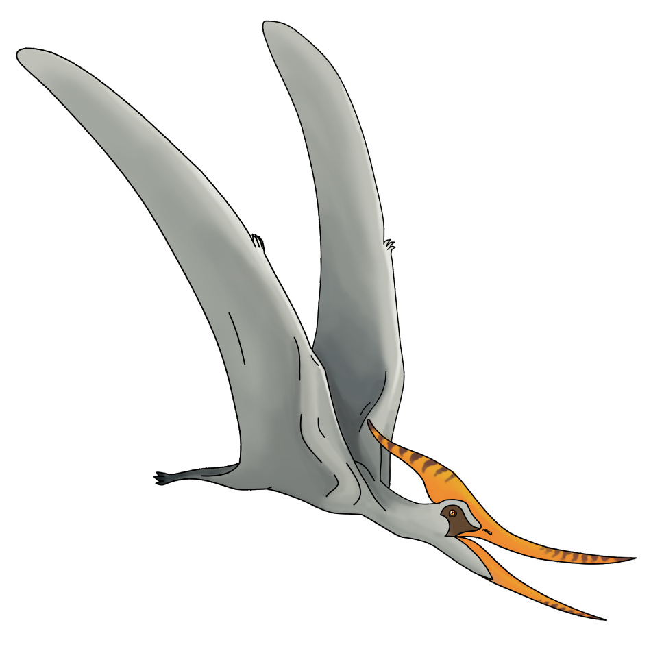 Adesivo Pteranodon longiceps